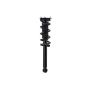 FCS Struts 1355178R Suspension Strut and Coil Spring Assembly