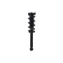 FCS Struts 1355179L Suspension Strut and Coil Spring Assembly
