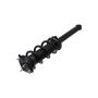 FCS Struts 1355179R Suspension Strut and Coil Spring Assembly