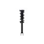 FCS Struts 1355180L Suspension Strut and Coil Spring Assembly