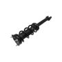 FCS Struts 1355180L Suspension Strut and Coil Spring Assembly