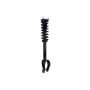 FCS Struts 1355181 Suspension Strut and Coil Spring Assembly