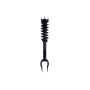 FCS Struts 1355181 Suspension Strut and Coil Spring Assembly