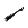 FCS Struts 1355181 Suspension Strut and Coil Spring Assembly