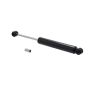 FCS Struts 226319 Steering Damper