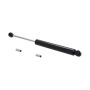 FCS Struts 226321 Steering Damper
