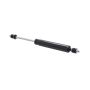 FCS Struts 226322 Steering Damper