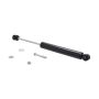 FCS Struts 226324 Steering Damper