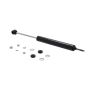 FCS Struts 226325 Steering Damper