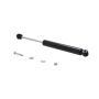 FCS Struts 226328 Steering Damper