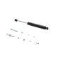 FCS Struts 226332 Steering Damper