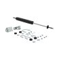FCS Struts 226333 Steering Damper