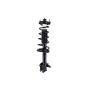 FCS Struts 2331008L Suspension Strut and Coil Spring Assembly