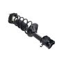 FCS Struts 2331008L Suspension Strut and Coil Spring Assembly