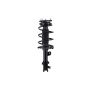 FCS Struts 2331579L Suspension Strut and Coil Spring Assembly