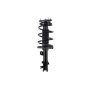 FCS Struts 2331579R Suspension Strut and Coil Spring Assembly