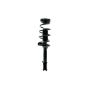 FCS Struts 2331583R Suspension Strut and Coil Spring Assembly