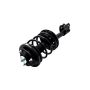 FCS Struts 2331595L Suspension Strut and Coil Spring Assembly
