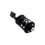 FCS Struts 2331595L Suspension Strut and Coil Spring Assembly