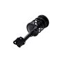 FCS Struts 2331595L Suspension Strut and Coil Spring Assembly