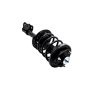 FCS Struts 2331595R Suspension Strut and Coil Spring Assembly
