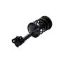 FCS Struts 2331595R Suspension Strut and Coil Spring Assembly