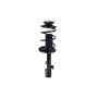 FCS Struts 2331604L Suspension Strut and Coil Spring Assembly