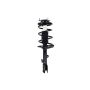 FCS Struts 2331604L Suspension Strut and Coil Spring Assembly