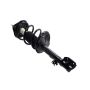 FCS Struts 2331604L Suspension Strut and Coil Spring Assembly