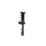 FCS Struts 2331613L Suspension Strut and Coil Spring Assembly