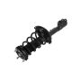 FCS Struts 2331613L Suspension Strut and Coil Spring Assembly