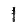 FCS Struts 2331613R Suspension Strut and Coil Spring Assembly
