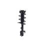 FCS Struts 2331622L Suspension Strut and Coil Spring Assembly