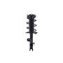 FCS Struts 2331622L Suspension Strut and Coil Spring Assembly