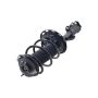 FCS Struts 2331622L Suspension Strut and Coil Spring Assembly