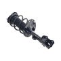 FCS Struts 2331622L Suspension Strut and Coil Spring Assembly