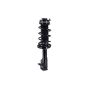 FCS Struts 2331629L Suspension Strut and Coil Spring Assembly