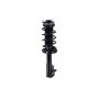 FCS Struts 2331629R Suspension Strut and Coil Spring Assembly
