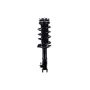 FCS Struts 2331629R Suspension Strut and Coil Spring Assembly