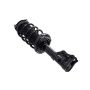 FCS Struts 2331629R Suspension Strut and Coil Spring Assembly