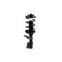 FCS Struts 2331632L Suspension Strut and Coil Spring Assembly