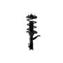 FCS Struts 2331632L Suspension Strut and Coil Spring Assembly