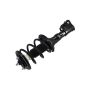 FCS Struts 2331632L Suspension Strut and Coil Spring Assembly
