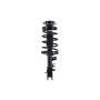 FCS Struts 2331645L Suspension Strut and Coil Spring Assembly