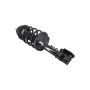 FCS Struts 2331645L Suspension Strut and Coil Spring Assembly