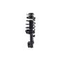 FCS Struts 2331645R Suspension Strut and Coil Spring Assembly