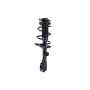 FCS Struts 2331660L Suspension Strut and Coil Spring Assembly