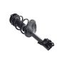 FCS Struts 2331660L Suspension Strut and Coil Spring Assembly