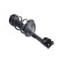 FCS Struts 2331660R Suspension Strut and Coil Spring Assembly