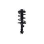 FCS Struts 2331661L Suspension Strut and Coil Spring Assembly